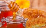 Những điều cần biết về đông trùng hạ thảo ngâm mật ong