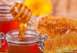 Đông trùng hạ thảo ngâm mật ong