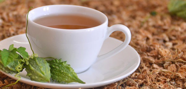 Uống trà khổ qua rừng mỗi ngày giúp điều trị bệnh tiểu đường hiệu quả.