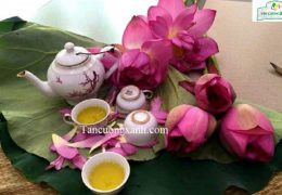 Ý nghĩa của trà sen – tinh hoa trong văn hóa trà của người Việt