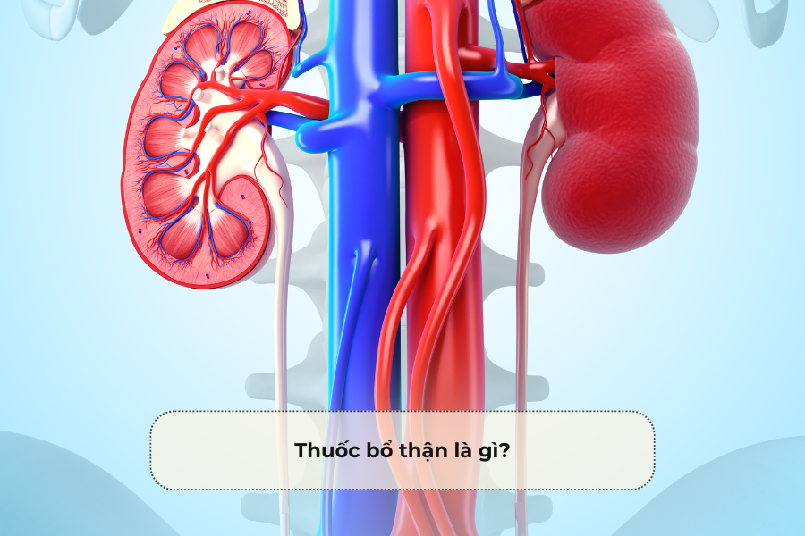 Thuốc bổ thận là gì