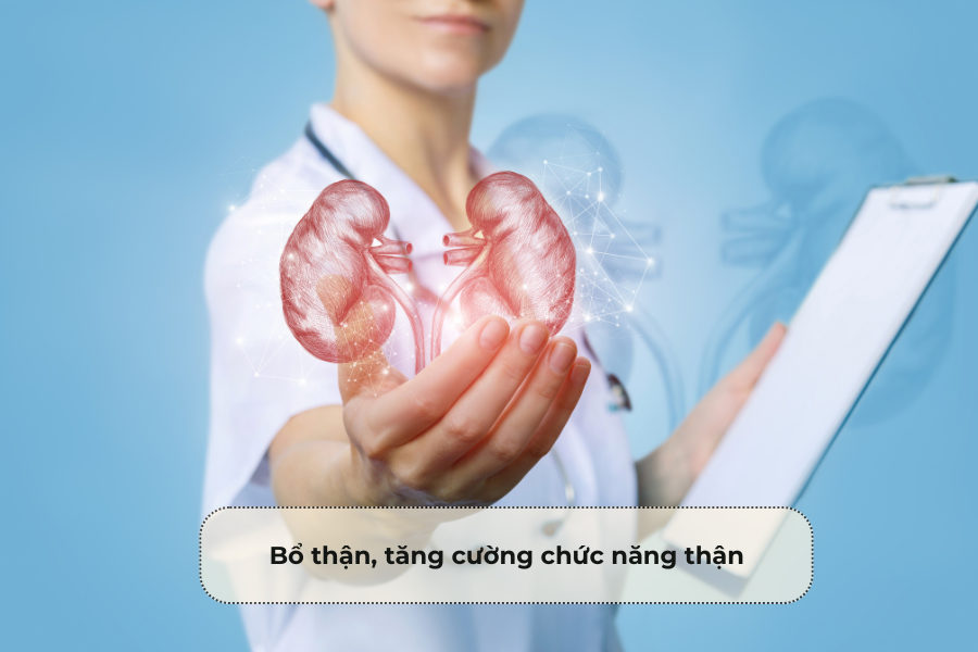 Bổ thận, tăng cường chức năng thận
