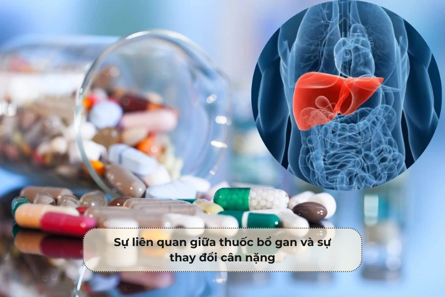 Sự liên quan giữa thuốc bổ gan và sự thay đổi cân nặng