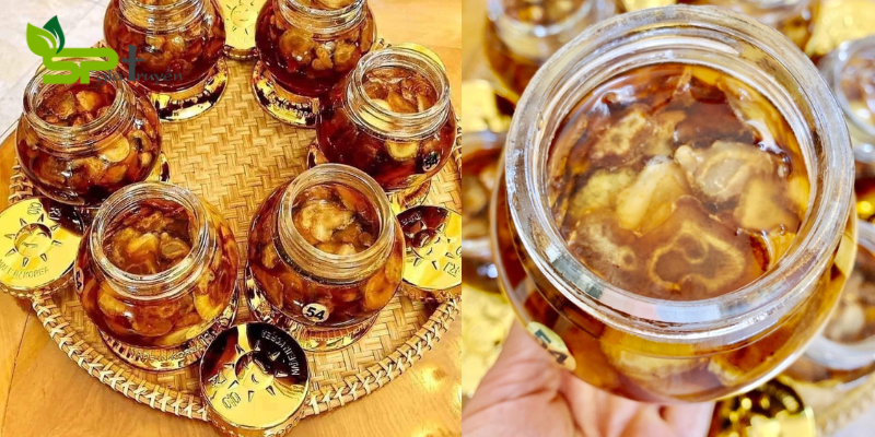Cách ngâm sâm Ngọc Linh với mật ong