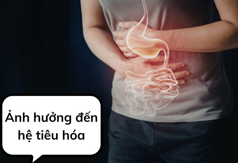 Ảnh hưởng đến hệ tiêu hóa