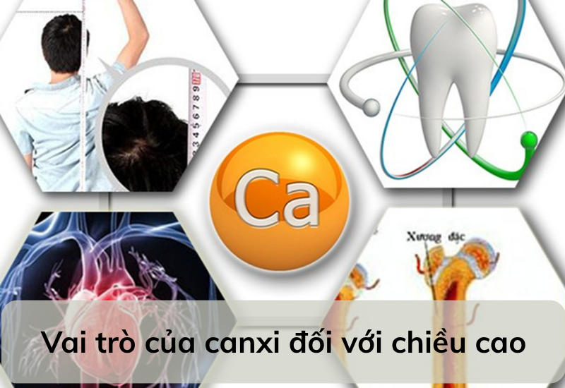 Vai trò của canxi đối với chiều cao