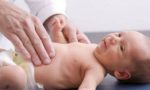 Vỏ tôm có canxi không? Sự thật nhiều người hiểu lầm Vỏ tôm có canxi không? Sự thật nhiều người hiểu lầm