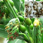 7 sai lầm khi chăm sóc tóc khiến tóc gãy rụng nhiều hơn và biện pháp khắc phục 7 sai lầm khi chăm sóc tóc khiến tóc gãy rụng nhiều hơn và biện pháp khắc phục