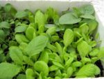 7 sai lầm khi chăm sóc tóc khiến tóc gãy rụng nhiều hơn và biện pháp khắc phục 7 sai lầm khi chăm sóc tóc khiến tóc gãy rụng nhiều hơn và biện pháp khắc phục
