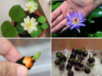 Điểm danh 9 món ăn giúp ngủ ngon và sâu ít người biết