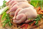 Vỏ tôm có canxi không? Sự thật nhiều người hiểu lầm Vỏ tôm có canxi không? Sự thật nhiều người hiểu lầm