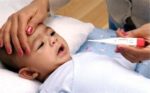 Vỏ tôm có canxi không? Sự thật nhiều người hiểu lầm