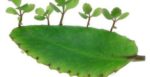 7 sai lầm khi chăm sóc tóc khiến tóc gãy rụng nhiều hơn và biện pháp khắc phục