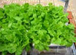 7 sai lầm khi chăm sóc tóc khiến tóc gãy rụng nhiều hơn và biện pháp khắc phục 7 sai lầm khi chăm sóc tóc khiến tóc gãy rụng nhiều hơn và biện pháp khắc phục