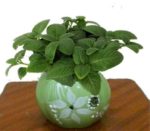 Điểm danh 9 món ăn giúp ngủ ngon và sâu ít người biết