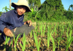 Bao Cao Su Có Gai – Tìm Hiểu Từ A Đến Z Về Đặc Điểm, Tác Dụng Và Lưu Ý Khi Sử Dụng Bao Cao Su Có Gai – Tìm Hiểu Từ A Đến Z Về Đặc Điểm, Tác Dụng Và Lưu Ý Khi Sử Dụng