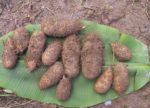 Bao Cao Su Có Gai – Tìm Hiểu Từ A Đến Z Về Đặc Điểm, Tác Dụng Và Lưu Ý Khi Sử Dụng Bao Cao Su Có Gai – Tìm Hiểu Từ A Đến Z Về Đặc Điểm, Tác Dụng Và Lưu Ý Khi Sử Dụng