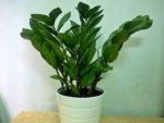 7 sai lầm khi chăm sóc tóc khiến tóc gãy rụng nhiều hơn và biện pháp khắc phục 7 sai lầm khi chăm sóc tóc khiến tóc gãy rụng nhiều hơn và biện pháp khắc phục
