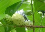 7 sai lầm khi chăm sóc tóc khiến tóc gãy rụng nhiều hơn và biện pháp khắc phục 7 sai lầm khi chăm sóc tóc khiến tóc gãy rụng nhiều hơn và biện pháp khắc phục