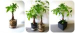 7 sai lầm khi chăm sóc tóc khiến tóc gãy rụng nhiều hơn và biện pháp khắc phục