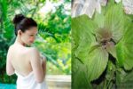 7 sai lầm khi chăm sóc tóc khiến tóc gãy rụng nhiều hơn và biện pháp khắc phục