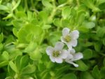 7 sai lầm khi chăm sóc tóc khiến tóc gãy rụng nhiều hơn và biện pháp khắc phục 7 sai lầm khi chăm sóc tóc khiến tóc gãy rụng nhiều hơn và biện pháp khắc phục