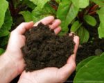TOP 3 bài tập tăng cường sinh lý nam giới hiệu quả nhất