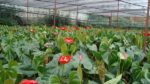 7 sai lầm khi chăm sóc tóc khiến tóc gãy rụng nhiều hơn và biện pháp khắc phục