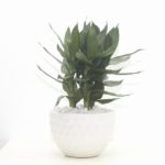 7 sai lầm khi chăm sóc tóc khiến tóc gãy rụng nhiều hơn và biện pháp khắc phục 7 sai lầm khi chăm sóc tóc khiến tóc gãy rụng nhiều hơn và biện pháp khắc phục