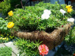 7 sai lầm khi chăm sóc tóc khiến tóc gãy rụng nhiều hơn và biện pháp khắc phục 7 sai lầm khi chăm sóc tóc khiến tóc gãy rụng nhiều hơn và biện pháp khắc phục