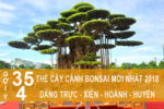 7 sai lầm khi chăm sóc tóc khiến tóc gãy rụng nhiều hơn và biện pháp khắc phục 7 sai lầm khi chăm sóc tóc khiến tóc gãy rụng nhiều hơn và biện pháp khắc phục