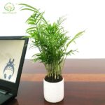 Phân biệt sự khác nhau giữa marketing và quảng cáo là gì? Phân biệt sự khác nhau giữa marketing và quảng cáo là gì?