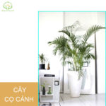 7 sai lầm khi chăm sóc tóc khiến tóc gãy rụng nhiều hơn và biện pháp khắc phục