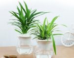 TOP 3 bài tập tăng cường sinh lý nam giới hiệu quả nhất