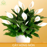 7 sai lầm khi chăm sóc tóc khiến tóc gãy rụng nhiều hơn và biện pháp khắc phục 7 sai lầm khi chăm sóc tóc khiến tóc gãy rụng nhiều hơn và biện pháp khắc phục