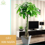 7 sai lầm khi chăm sóc tóc khiến tóc gãy rụng nhiều hơn và biện pháp khắc phục