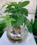7 sai lầm khi chăm sóc tóc khiến tóc gãy rụng nhiều hơn và biện pháp khắc phục 7 sai lầm khi chăm sóc tóc khiến tóc gãy rụng nhiều hơn và biện pháp khắc phục
