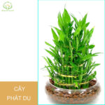 7 sai lầm khi chăm sóc tóc khiến tóc gãy rụng nhiều hơn và biện pháp khắc phục 7 sai lầm khi chăm sóc tóc khiến tóc gãy rụng nhiều hơn và biện pháp khắc phục