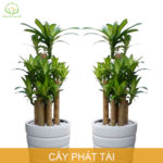 7 sai lầm khi chăm sóc tóc khiến tóc gãy rụng nhiều hơn và biện pháp khắc phục 7 sai lầm khi chăm sóc tóc khiến tóc gãy rụng nhiều hơn và biện pháp khắc phục
