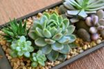 7 sai lầm khi chăm sóc tóc khiến tóc gãy rụng nhiều hơn và biện pháp khắc phục