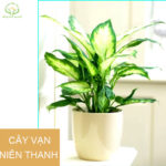 7 sai lầm khi chăm sóc tóc khiến tóc gãy rụng nhiều hơn và biện pháp khắc phục 7 sai lầm khi chăm sóc tóc khiến tóc gãy rụng nhiều hơn và biện pháp khắc phục