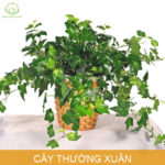7 sai lầm khi chăm sóc tóc khiến tóc gãy rụng nhiều hơn và biện pháp khắc phục