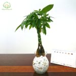 Phân biệt sự khác nhau giữa marketing và quảng cáo là gì? Phân biệt sự khác nhau giữa marketing và quảng cáo là gì?