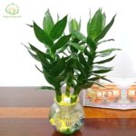 7 sai lầm khi chăm sóc tóc khiến tóc gãy rụng nhiều hơn và biện pháp khắc phục 7 sai lầm khi chăm sóc tóc khiến tóc gãy rụng nhiều hơn và biện pháp khắc phục
