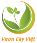 Nệm Đồng Phú: Lựa chọn con đường xây dựng thương hiệu có chiều sâu