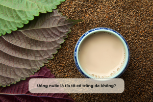 Uống nước lá tía tô có trắng da không