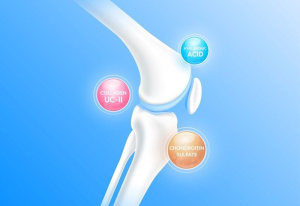 Glucosamine – nền tảng cấu tạo sụn khớp