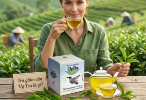 Trà giảm cân Vy Tea là gì