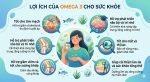 Uống Omega 3 có tốt không? Lợi ích và cách bổ sung đúng cho sức khỏe