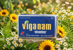 Bình Vị Nam Bivina Là Thuốc Gì? Công Dụng, Cách Dùng Và Những Điều Cần Biết